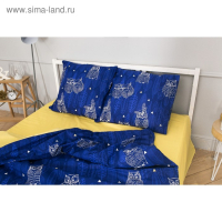 Постельное бельё "Этель" евро Ушастые совы (вид 3) 200 х 217 см, 220 х 240 см, 70 х 70 - 2 шт Постельное бельё "Этель" евро Ушастые совы (вид 3) 200 х 217 см, 220 х 240 см, 70 х 70 - 2 шт