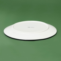 Тарелка новогодняя Доляна &laquo;Василиск&raquo;, 24&times;24&times;2,5 см