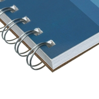 Альбом для графики, А5, 35 листов, 148 х 210, Гамма "Студия" 160г/м, на гребне