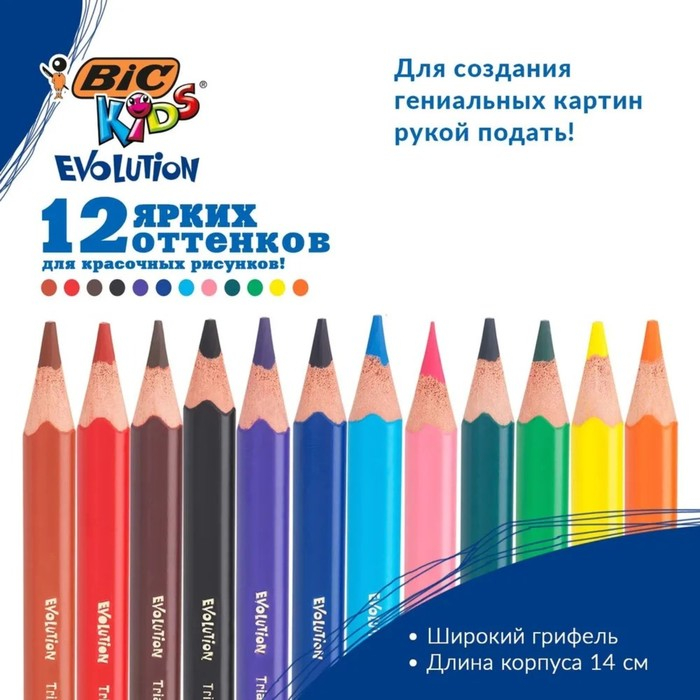 Карандаши 12 цветов, детские, утолщенные, трёхгранные, BIC Kids Evolution Triangle, пластиковые, премиум, картонная упаковка Карандаши 12 цветов, детские, утолщенные, трёхгранные, BIC Kids Evolution Triangle, пластиковые, премиум, картонная упаковка