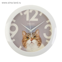 Часы настенные, серия: Животный мир, "Кот", d=29 см, белый обод Часы настенные, серия: Животный мир, "Кот", d=29 см, белый обод