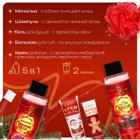 Новогодний подарочный набор косметики &laquo;Новый год не за горами&raquo; для душа и ванны, красная серия