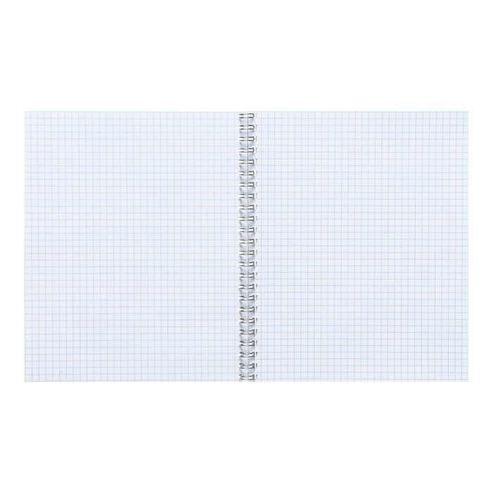 Тетрадь 48 листов в клетку на гребне Calligrata "Чёрный Кот", обложка мелованный картон, ВД-лак, блок офсет, белизна 95%, МИКС