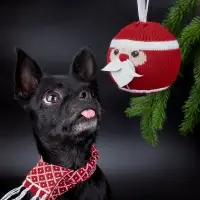 Елочный шар &laquo;Дедушка Мороз&raquo;