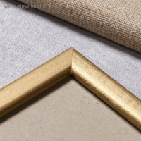 Фоторамка сосна с19 золото 50х60 см (пластиковый экран) Фоторамка сосна с19 золото 50х60 см (пластиковый экран)