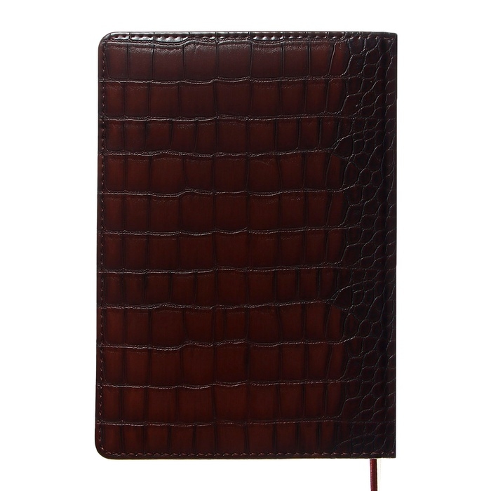 Ежедневник датированный 2024 A5 176 листов, deVENTE.Belcanto, твёрдая обложка из искусственной кожи с поролоном, ляссе, кремовый блок 70 г/м2, коричневый