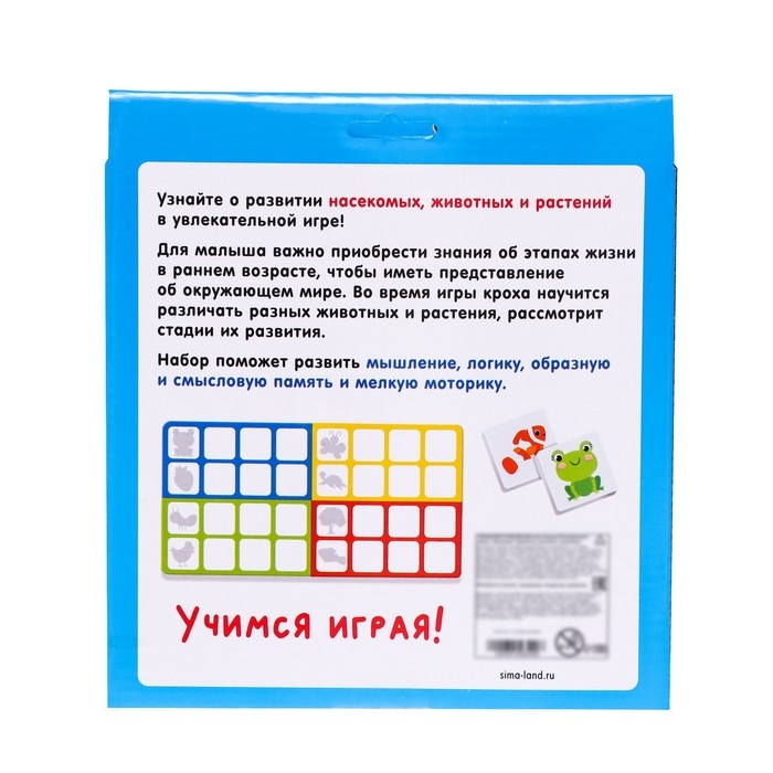 Развивающий набор &laquo;Эволюция&raquo;, животные, растения, насекомые