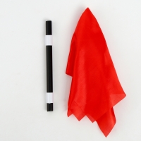 Набор волшебника &laquo;Факультет храбрых&raquo; 6 фокусов, инструкция в комплекте