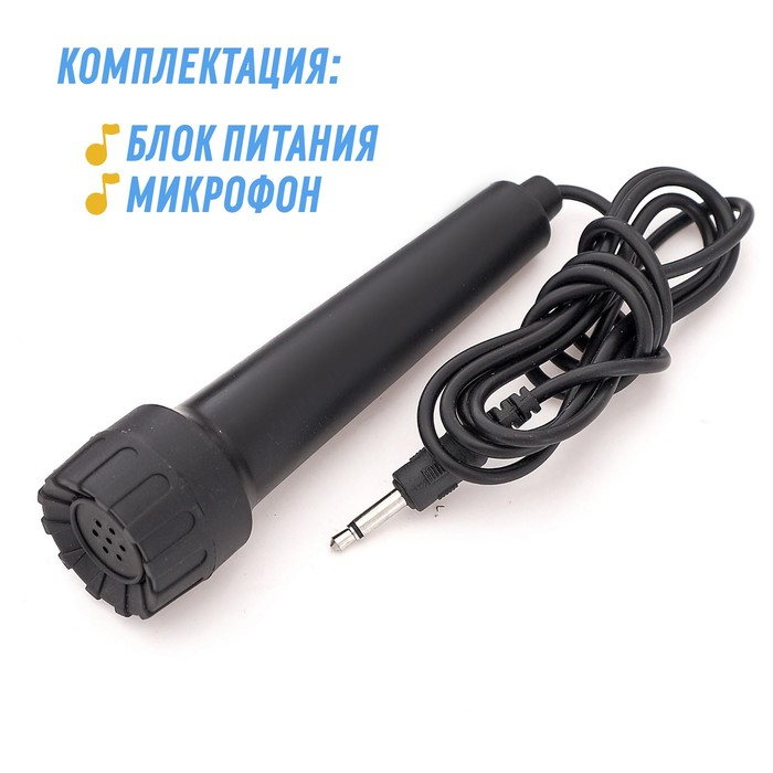 Детский музыкальный инструмент &laquo;Синтезатор: Музыкальная феерия&raquo;, с микрофоном, 31 клавиша