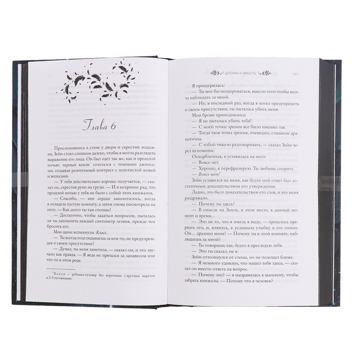 Шторм и ярость. Арментроут Дж. Шторм и ярость. Арментроут Дж.