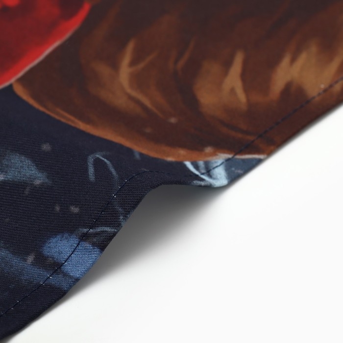 Новый год. Полотенце кухонное: Новый год &laquo;Этель&raquo; Рождественская история 40х70 см, 100% хл, саржа 190 г/м2