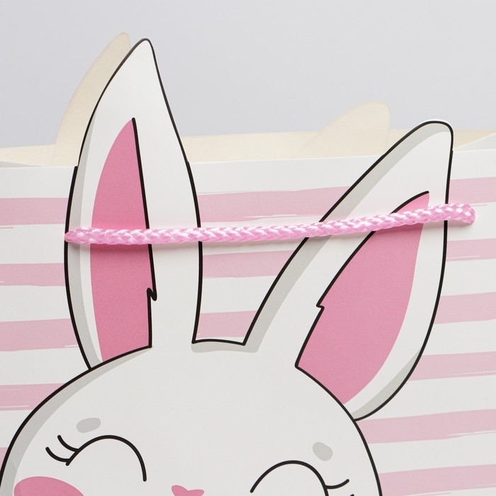 Пакет подарочный, упаковка, &laquo;Best day&raquo;, 25 х 26 х 10 см