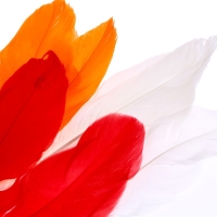 Набор для творчества: создание игрушки из меховых палочек и раскраска &laquo;Веселая курочка&raquo;