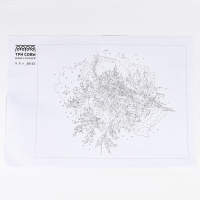 Картина по номерам &laquo;Цветы&raquo;, 30 &times; 40 см, на черном холсте