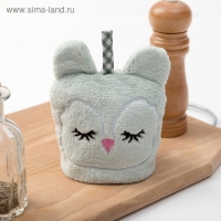 Кухонное полотенце Доляна "Совушка", р-р. 30х30 см, микрофибра Кухонное полотенце Доляна "Совушка", р-р. 30х30 см, микрофибра