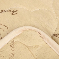 Одеяло облегчённое Адамас "Верблюжья шерсть", размер 140х205 &plusmn; 5 см, 200гр/м2, чехол п/э