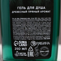 Подарочный набор косметики «Самому лучшему мужчине в Новый Год», гель для душа и шампунь для волос, 2 х 250 мл, ЧИСТОЕ СЧАСТЬЕ Подарочный набор косметики «Самому лучшему мужчине в Новый Год», гель для душа и шампунь для волос, 2 х 250 мл, ЧИСТОЕ СЧАСТЬЕ