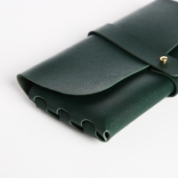 Футляр для очков на зацепке, длина 16,5 см, цвет зелёный Футляр для очков на зацепке, длина 16,5 см, цвет зелёный