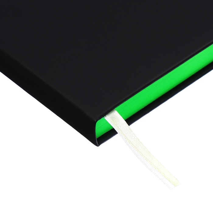 Ежедневник датированный 2025 года, deVENTE. Flag, A5 168 листов, deVENTE. Duo, твердая обложка кожзам с поролоном, шелкография, перфорация, ляссе, блок 70 г/м2