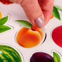 Магнитная игра &laquo;&lrm;Фрукты&raquo;&lrm;