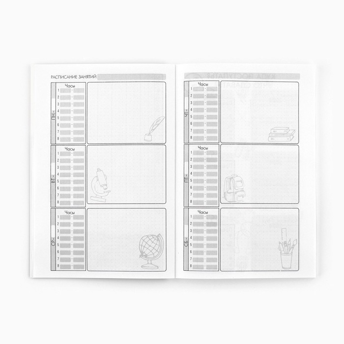 Планинг для подготовки к экзаменам, А5 60 л. Мягкая обложка «Кот» Планинг для подготовки к экзаменам, А5 60 л. Мягкая обложка «Кот»