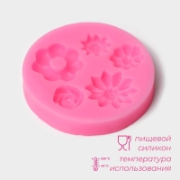 Молд Доляна «Клумба», силикон, 6,5×0,7 см, цвет розовый Молд Доляна «Клумба», силикон, 6,5×0,7 см, цвет розовый