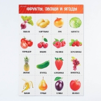 Набор обучающих плакатов «Изучаем мир», 10 в 1, А4 Набор обучающих плакатов «Изучаем мир», 10 в 1, А4