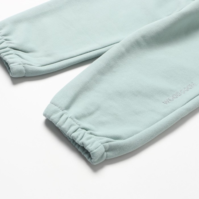 Брюки для девочки, цвет мята, рост 134 см