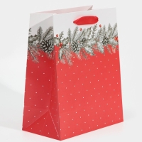 Пакет подарочный новогодний ламинированный &laquo;Еловая веточка&raquo;, MS 18 х 23 х 10 см, Новый год
