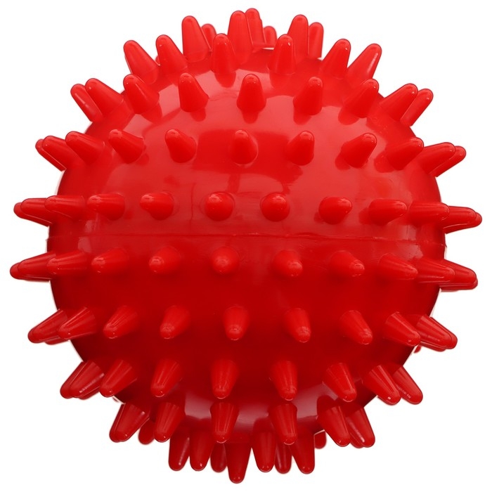 Набор для фитнеса ONLYTOP «Россия»: 3 фитнес-резинки, бутылка для воды, массажный мяч Набор для фитнеса ONLYTOP «Россия»: 3 фитнес-резинки, бутылка для воды, массажный мяч