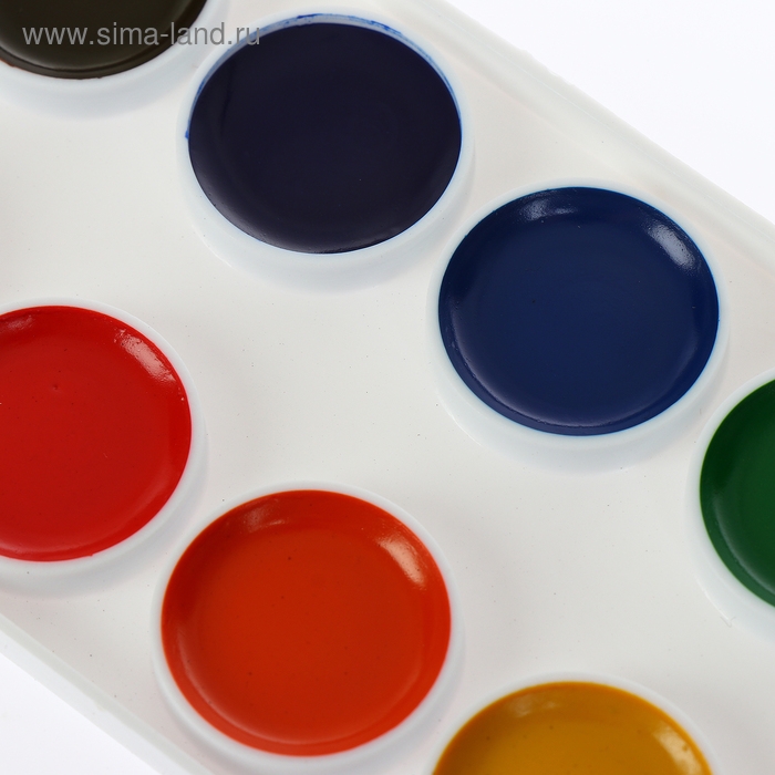 Акварель 12 цветов "Каляка-Маляка", медовая, без кисти, картон