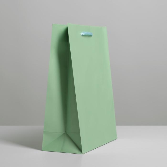 Пакет подарочный ламинированный, упаковка, &laquo;Зелёный&raquo;, MS 18 х 23 х 8 см