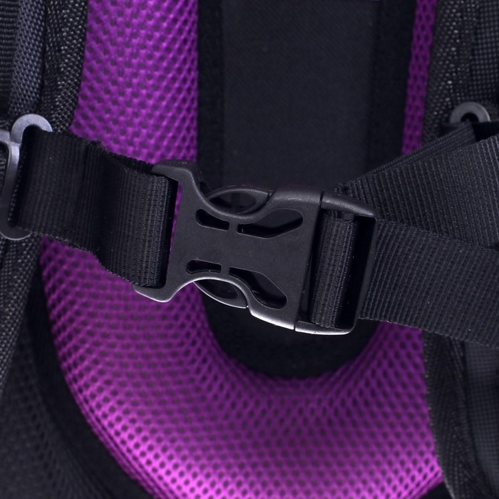 Рюкзак каркасный школьный 38 х 30 х 16 см, эргономичная спинка, Stavia "Тильда", голубой/сиреневый/серый