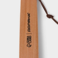 Ложка для обуви Доляна, с петелькой, деревянная, 38×3,5 см Ложка для обуви Доляна, с петелькой, деревянная, 38×3,5 см