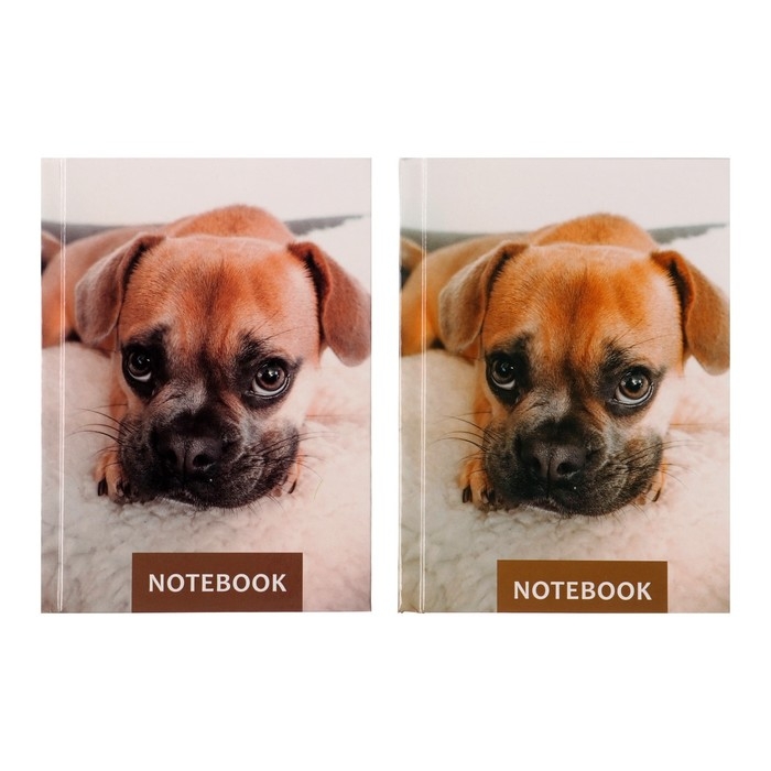 Блокнот А6, 64 листа в клетку "Лучший друг", твёрдая обложка, глянцевая ламинация, блок офсет