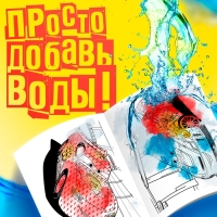 Водная раскраска &laquo;Для мальчиков&raquo;, 12 стр., 20&times;25 см, Дисней