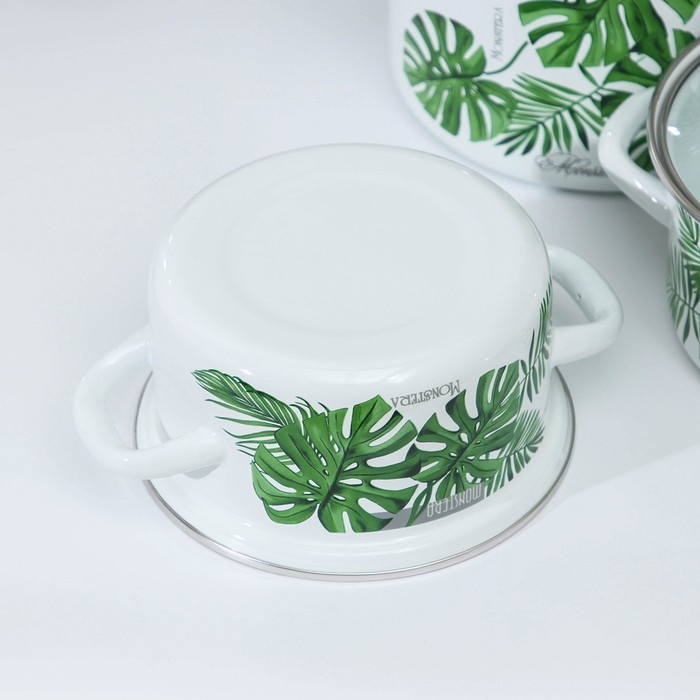 Набор эмалированных кастрюль &laquo;Монстера 5-1- Экстра&raquo;, 3 предмета: 1,5 л, 2,3 л, 5 л, индукция