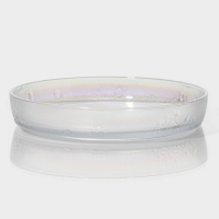 Набор тарелок стеклянных &laquo;Космос&raquo;, 4 предмета: 2 тарелки 18,5&times;5,5 см, 2 тарелки 19,8&times;3,5 см, цвет перламутровый