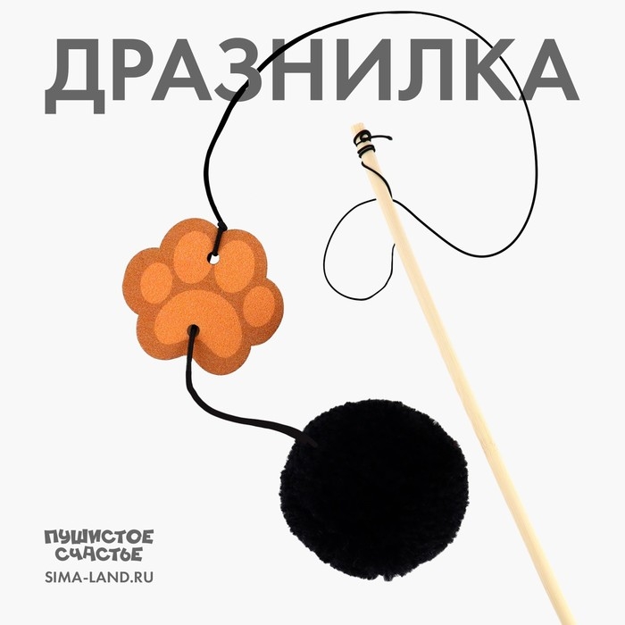 Дразнилка с деревянной подвеской &laquo;Лапка&raquo;, 4 см
