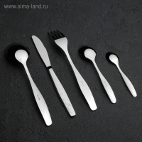 Набор столовый &laquo;Лира&raquo;, 30 предметов, декоративная коробка, цвет серебряный