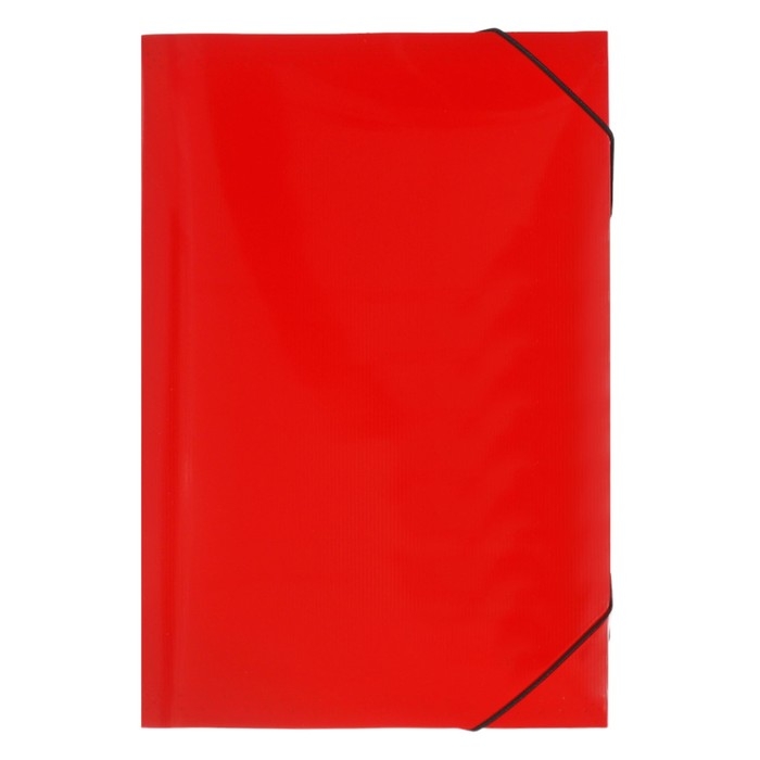 Папка картотека А4, Calligrata TOP DeLuxe, 13 отделений, пластиковая, 1000 мкм, красная Папка картотека А4, Calligrata TOP DeLuxe, 13 отделений, пластиковая, 1000 мкм, красная
