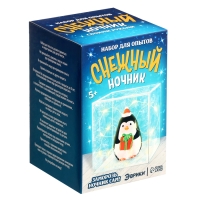 Набор для опытов &laquo;Снежный ночник: Пингвин&raquo;, своими руками