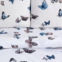 Постельное бельё &laquo;Этель&raquo; дуэт Легкость 143*215 см - 2 шт, 240*220 см, 70*70 см -2 шт