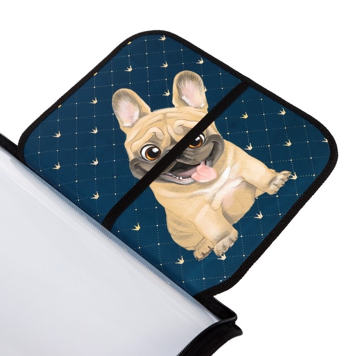 Папка для труда А4, 325 х 230 х 25 мм, молния вокруг, откидная планка, пластиковая, ПТР-1, Calligrata Папка для труда А4, 325 х 230 х 25 мм, молния вокруг, откидная планка, пластиковая, ПТР-1, Calligrata "Бульдожка"