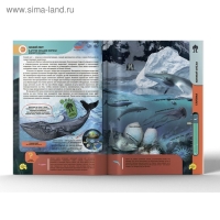 Энциклопедия 4D в дополненной реальности &laquo;Подводные жители&raquo;