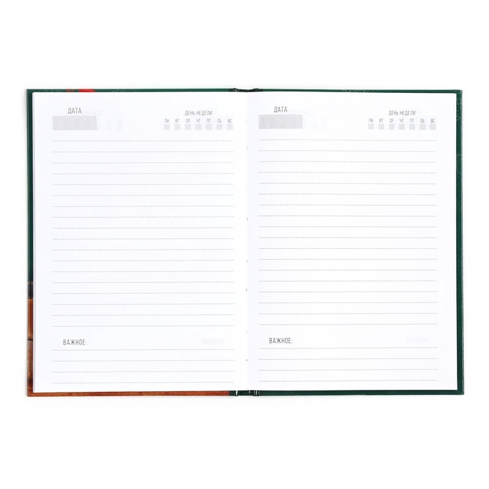 Подарочный набор "Любимому учителю": ежедневник А5, 80 л, медаль