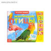 Музыкальная книга «Экзотические птицы», 12 стр. Музыкальная книга «Экзотические птицы», 12 стр.