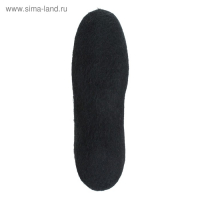 Валенки мужские, цвет чёрный, размер 43-44 (31)