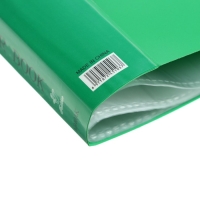 Папка с 40 вкладышами Calligrata А4, 400мкм, МИКС