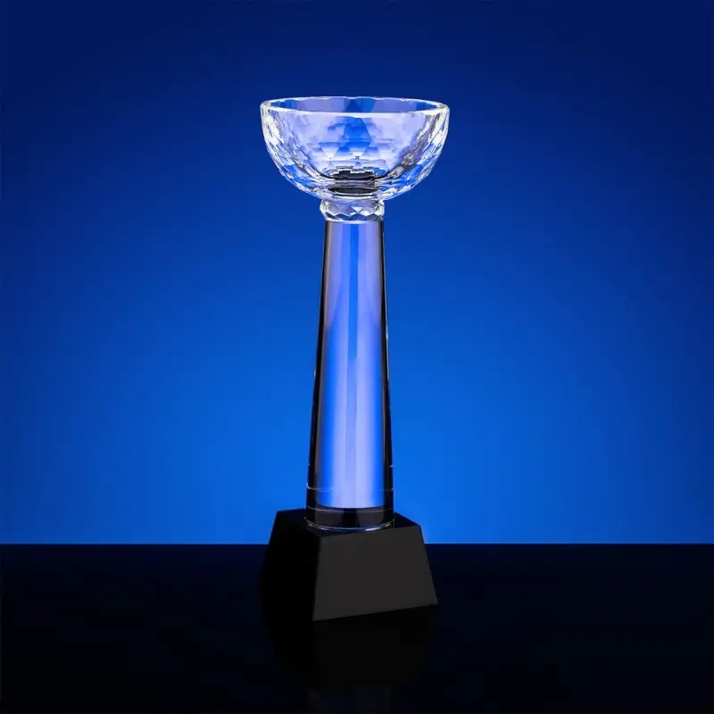 Кубок Cupture, большой